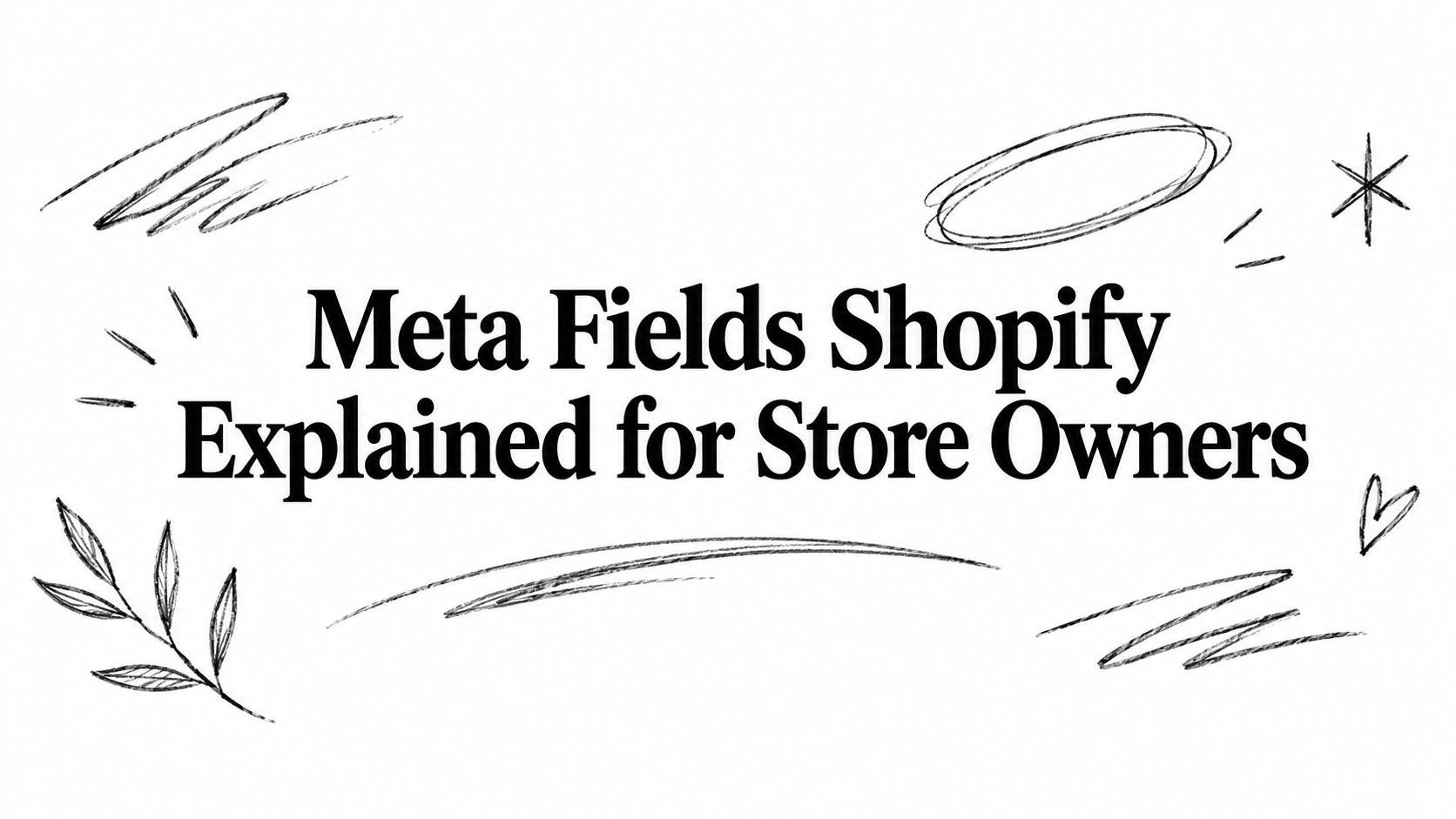Meta Fields Shopify Explained for Store Owners